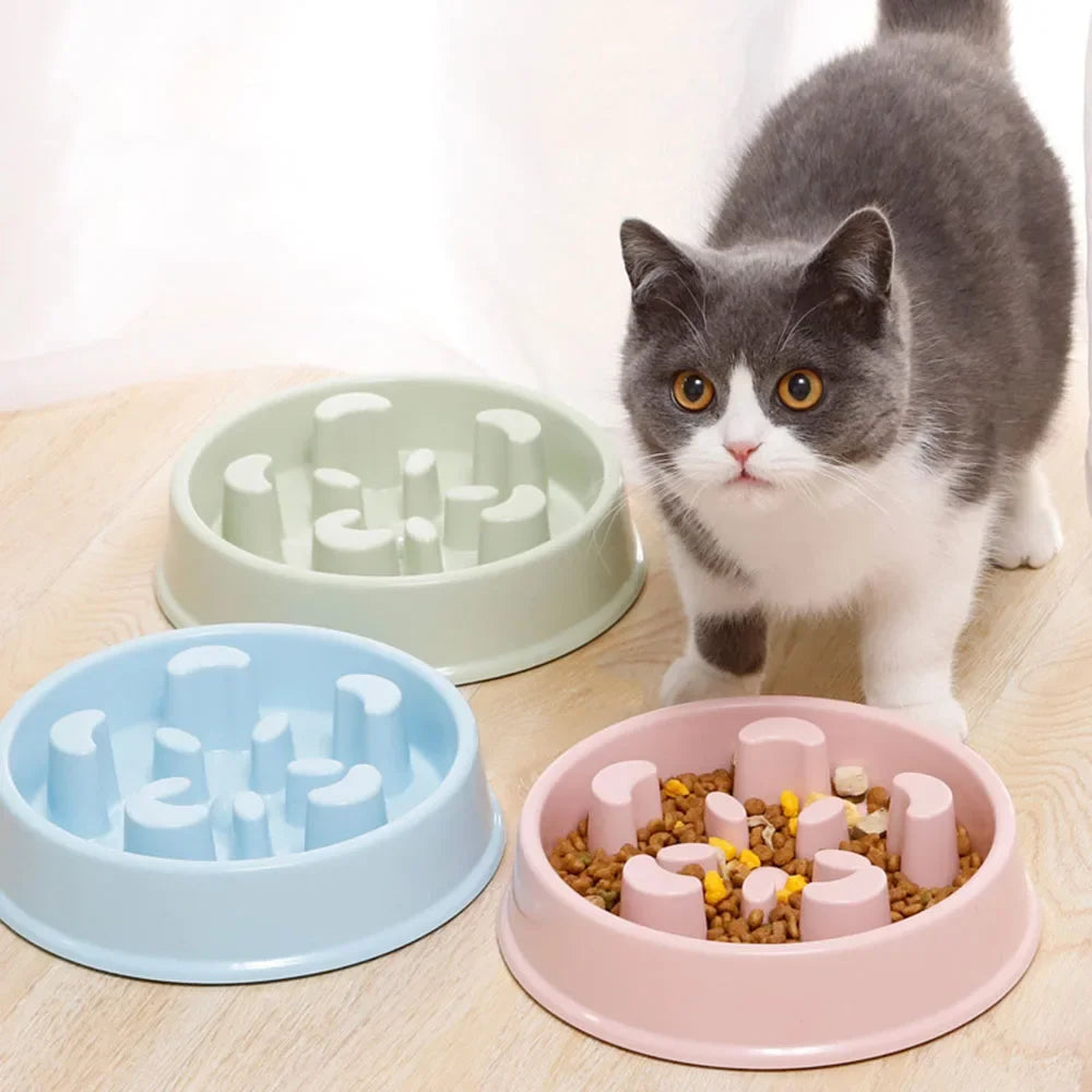 Plastic Non-Slip Pet Puppy Slow Feeder Bowl for Healthy Eating Puppy or Cat Slow Feeder Bowl Anti-Choking