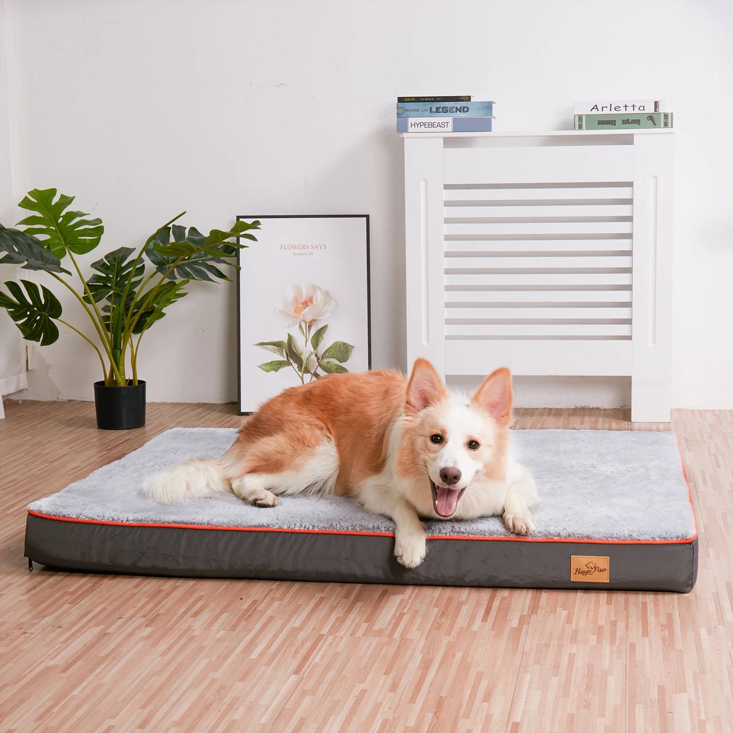 Large Orthopedic Dog Bed with Memory Foam, Waterproof, Removable Washable Cover and Non-Slip Bottom