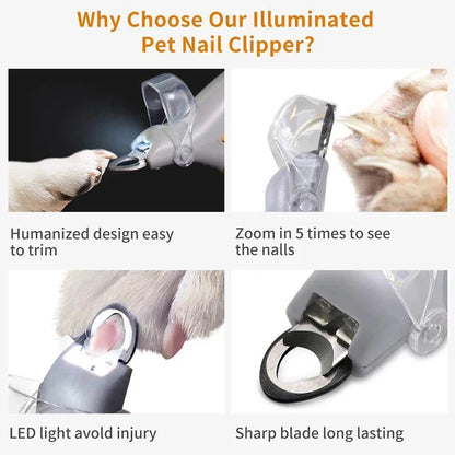 Professional Pet Nail Scissors with LED Light for Safe Dog and Cat Grooming