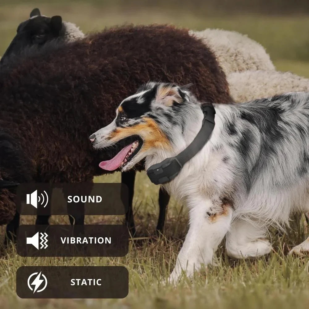 Dog Training Collar System with Remote Control and 3 Training Options