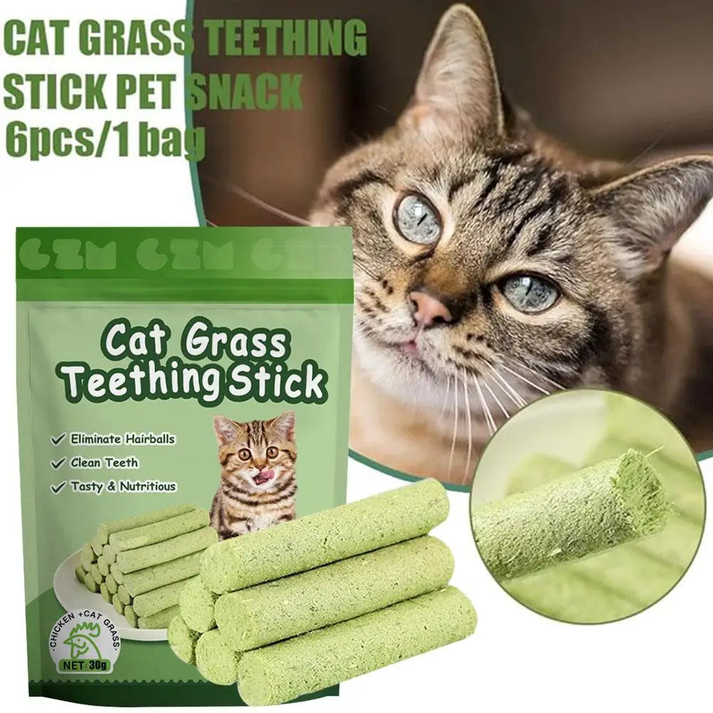 Cat Grass Dental Treat Sticks, Crunchy Cat Snacks for Chewing & Digestive Support - Bond Well Supplies