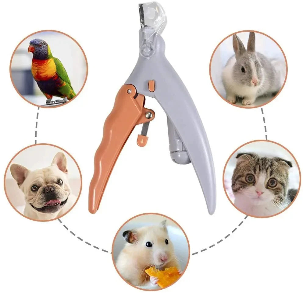 Professional Pet Nail Scissors with LED Light for Safe Dog and Cat Grooming