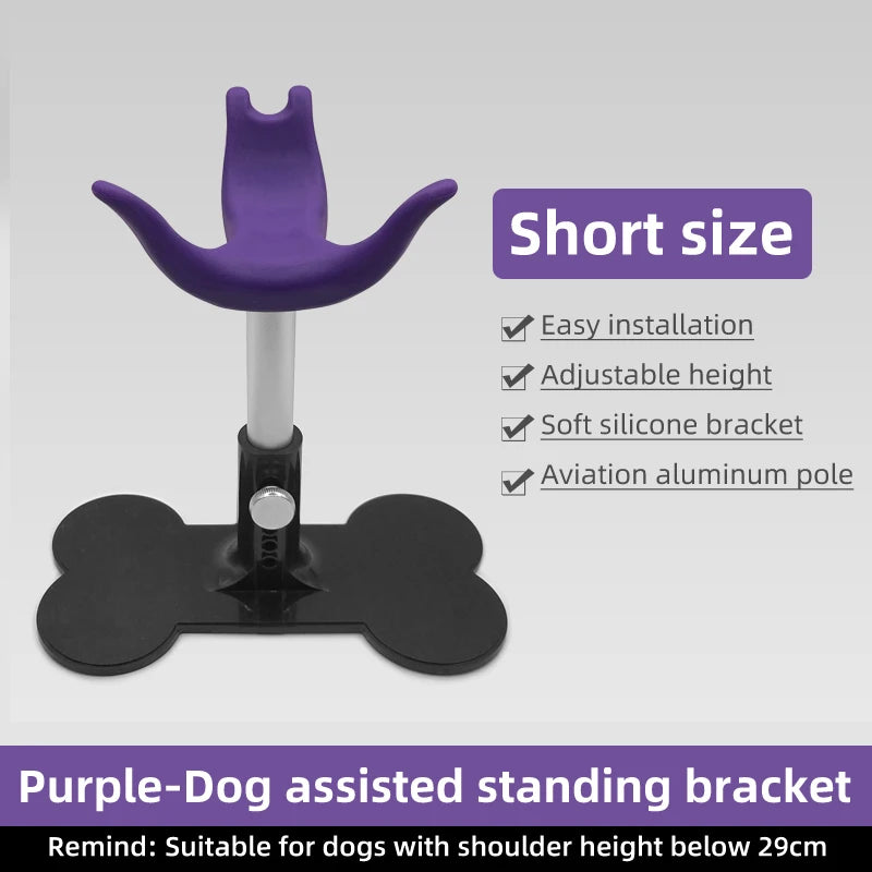 Adjustable Pet Support Stand, Groomer Dog Seat & Fixed Chair for Dog Care - Bond Well Supplies