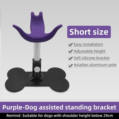 Adjustable Pet Support Stand, Groomer Dog Seat & Fixed Chair for Dog Care - Bond Well Supplies