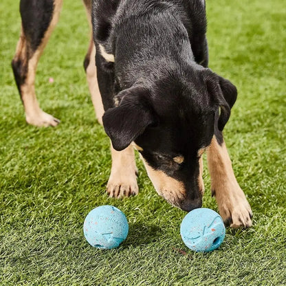 Rubber Puppy Treat Dispensing Ball, Molar Chew Toy with Squeaky Bell Sound for Training SEO-Optimized - Bond Well Supplies
