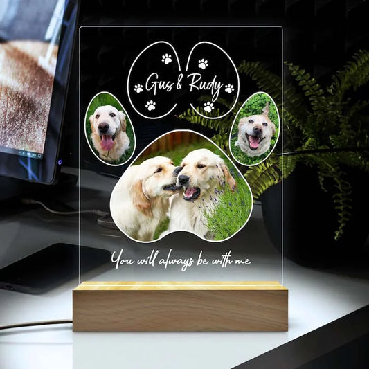 Custom Pet Photo Night Light, Personalized Acrylic Plaque for Dog and Cat Memorial Gifts