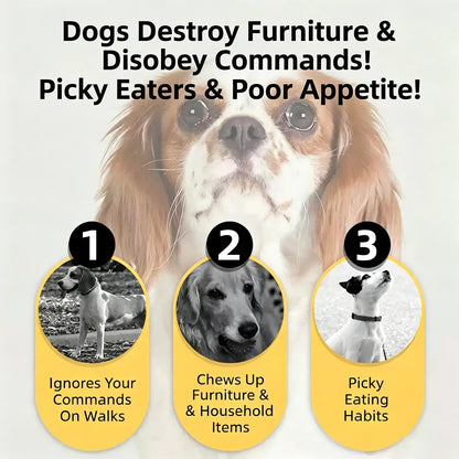 Premium Beef Jerky Treats for Dogs, Bite-Sized High-Protein Snacks and Meal Topper, Cat Friendly