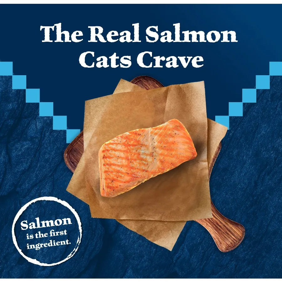 Blue Buffalo Wilderness High-Protein Dry Cat Food, Salmon Recipe for Adult Cats, 9.5-lb Bag - Bond Well Supplies