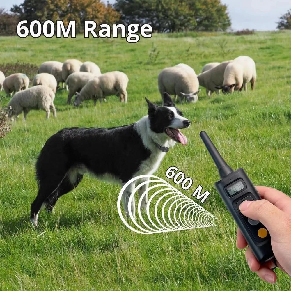 Dog Training Collar System with Remote Control and 3 Training Options