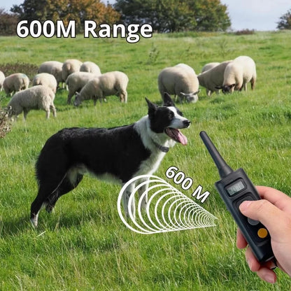 Dog Training Collar System with Remote Control and 3 Training Options