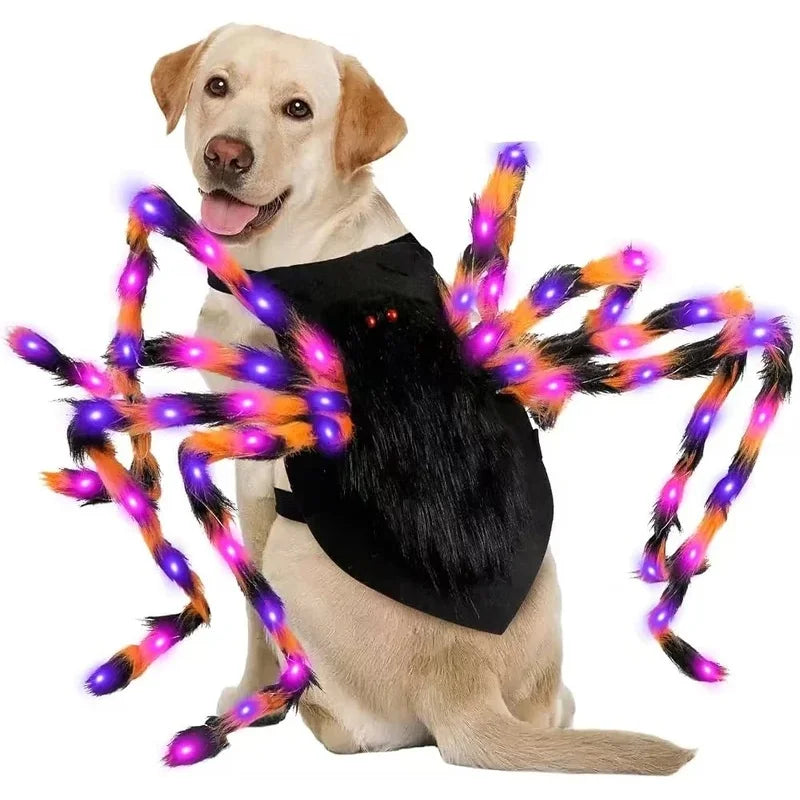 Glowing Spider Dog Halloween Costume, LED Light-Up Pet Cosplay Outfit for Halloween Parties - Bond Well Supplies