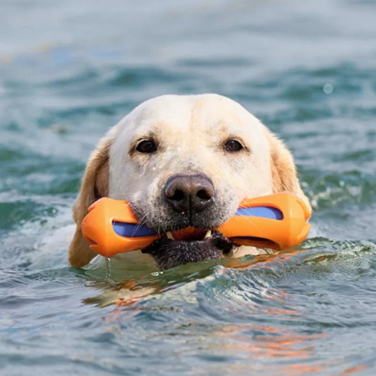Floating Dog Chew and Retrieval Toy, TPR Fetch Stick for Pool and Outdoor Play