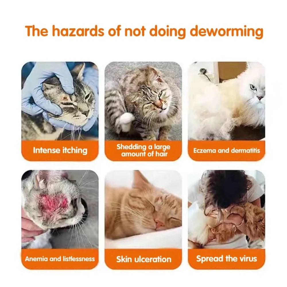 Dog & Cat Deworming Tablets, Pet Parasite Treatment for Common Intestinal Worms