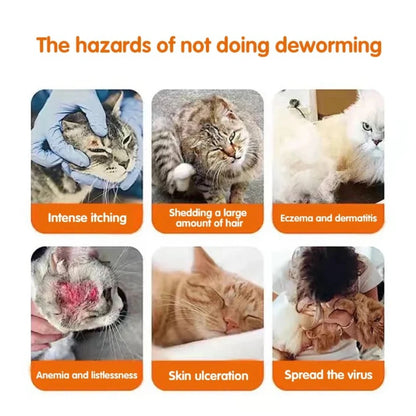 Dog & Cat Deworming Tablets, Pet Parasite Treatment for Common Intestinal Worms