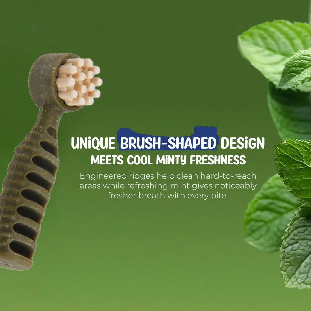 Dental Chews for Small Dogs, Mint & Tea Flavored Treats for Teeth Cleaning & Fresh Breath - Bond Well Supplies