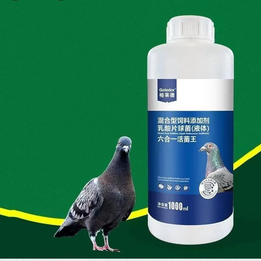 Racing Pigeon Probiotic Concentrate, 1000ml 6-in-1 Digestive Support Formula for Daily Care - Bond Well Supplies