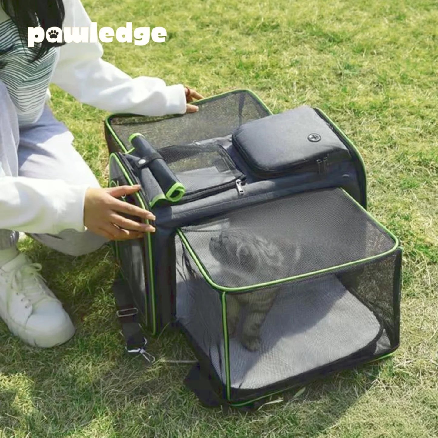 Expandable Pet Carrier for Cats & Small Dogs, Breathable Mesh Travel Tote with Luggage Strap for Car & Travel