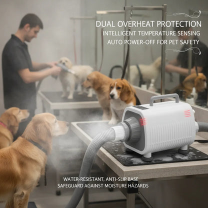 Professional Pet Grooming Dryer, 2100W Dog & Cat Hair Dryer with 9 Speeds, 9 Temperature Settings, 3 Nozzles & 6.56ft Hose