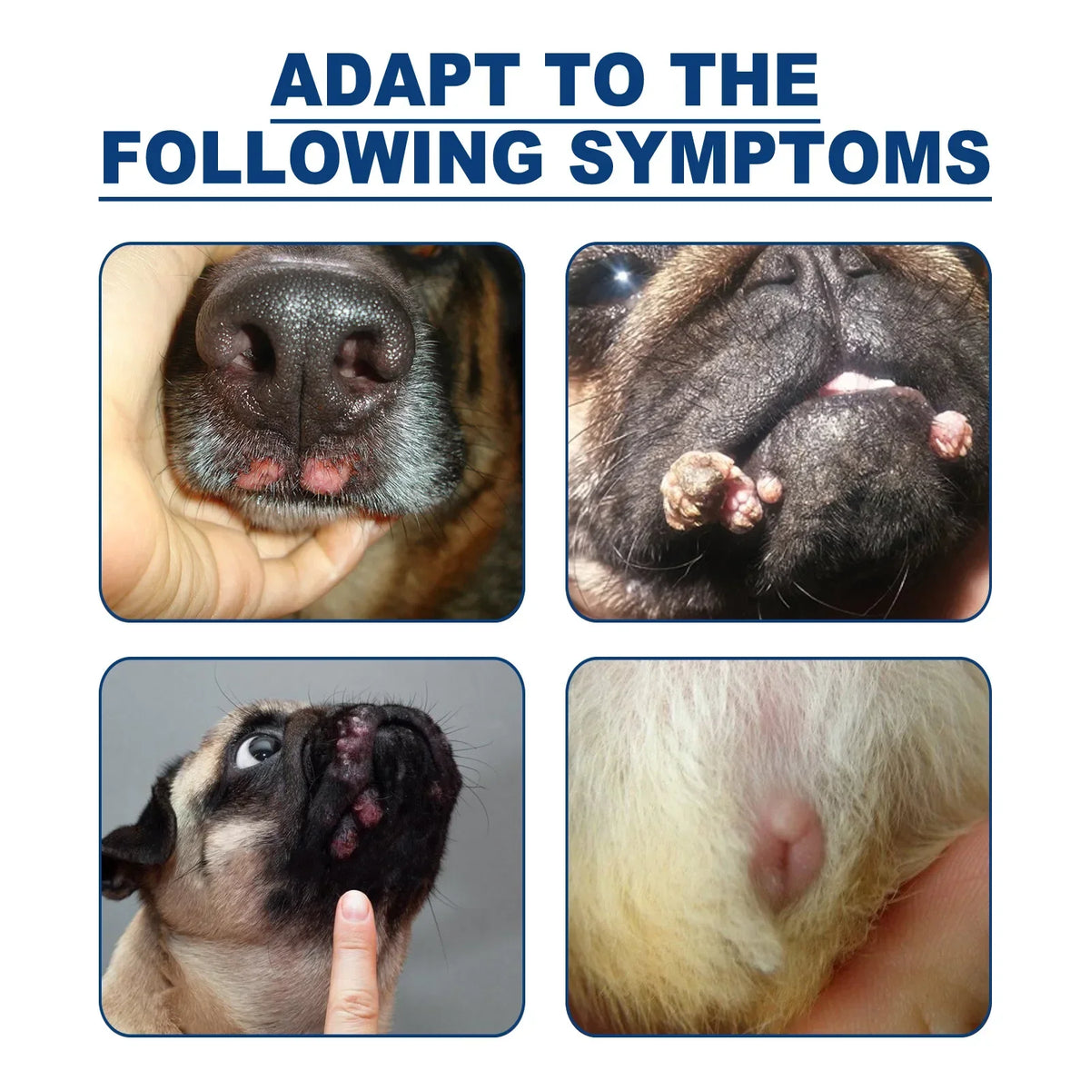 Pet Skin Care Liquid, Wart, Skin Tag & Blemish Care for Dogs & Cats - Bond Well Supplies