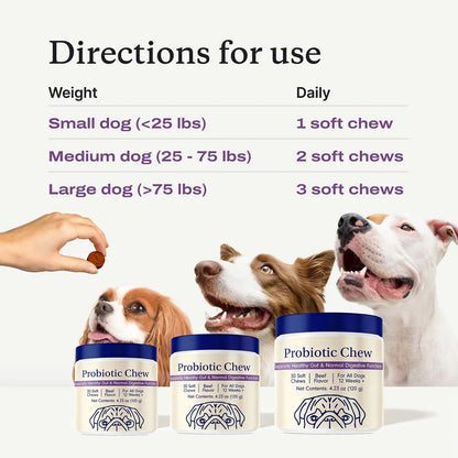 Probiotic Chews for Dogs, Beef Flavor, Gut Health, Digestive & Seasonal Wellness Support - Bond Well Supplies