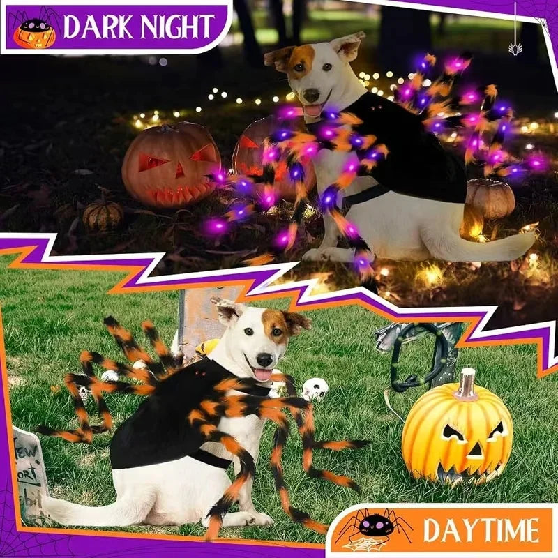 Glowing Spider Dog Halloween Costume, LED Light-Up Pet Cosplay Outfit for Halloween Parties - Bond Well Supplies