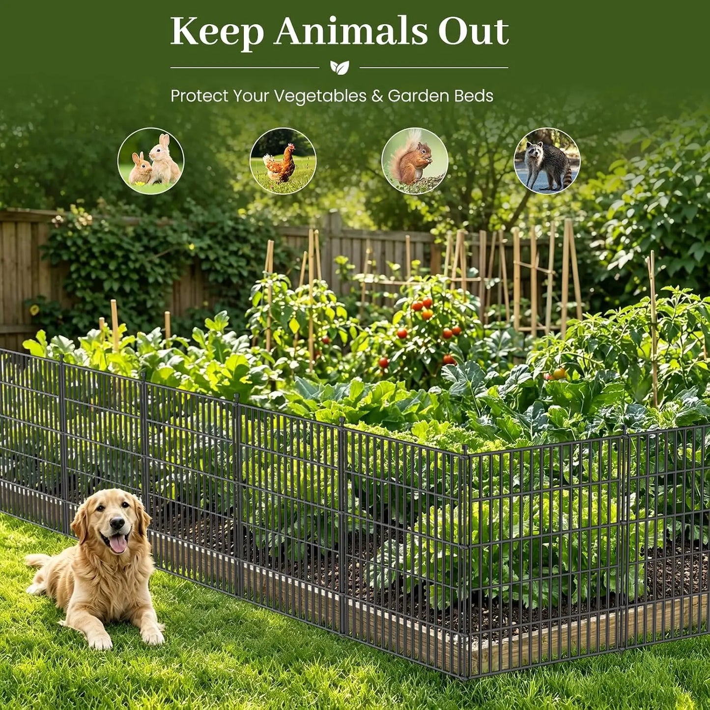 No-Dig Pet & Garden Fence, 48-Inch Tall Rustproof Metal Panels with Gate for Yard & Flower Beds