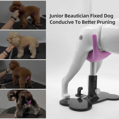 Adjustable Pet Support Stand, Groomer Dog Seat & Fixed Chair for Dog Care - Bond Well Supplies