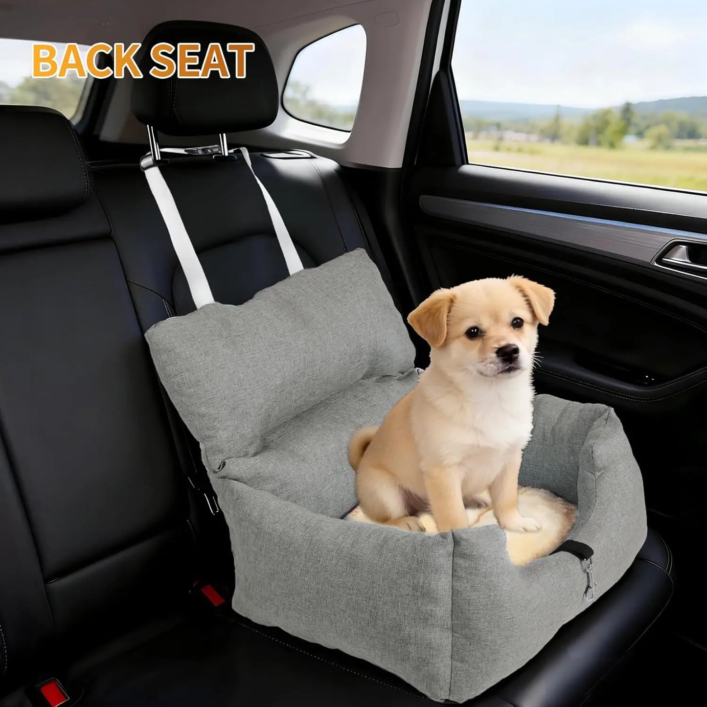 Dog Booster Car Seat Bed for Small Dogs, Elevated Travel Seat with Safety Tether