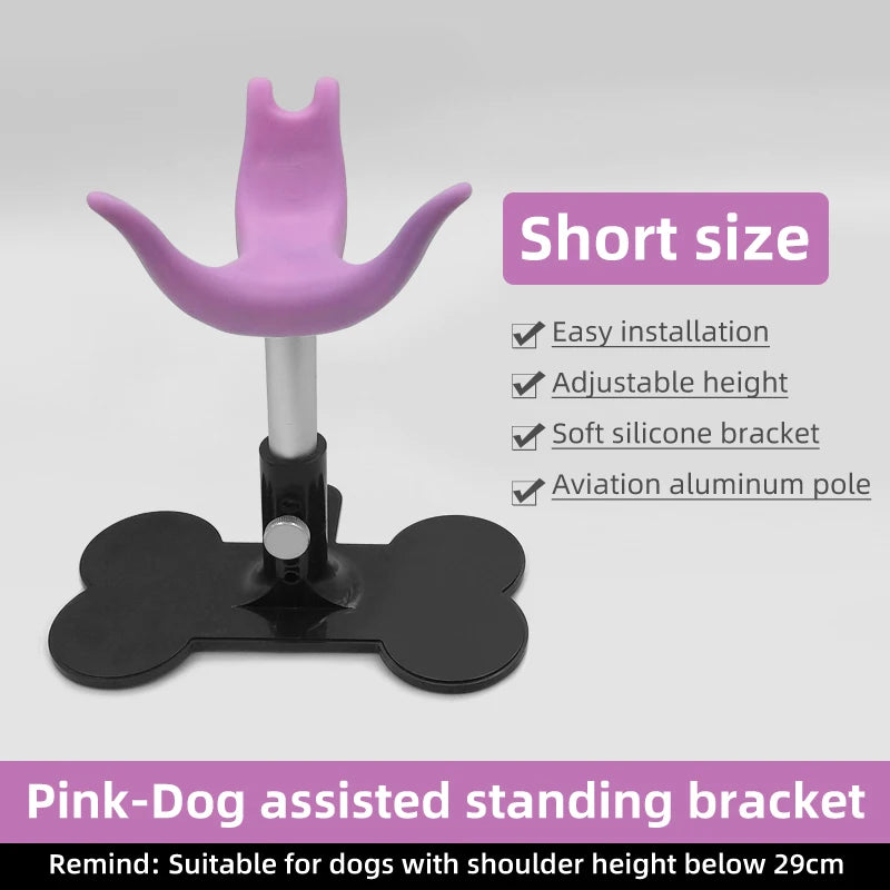 Adjustable Pet Support Stand, Groomer Dog Seat & Fixed Chair for Dog Care - Bond Well Supplies