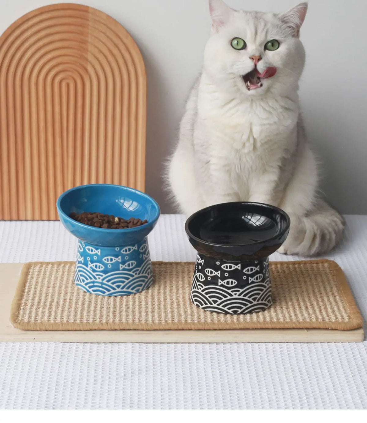 Durable Ceramic Pet Bowl, Elevated Raised Feeding Dish for Cats & Small Dogs - Bond Well Supplies