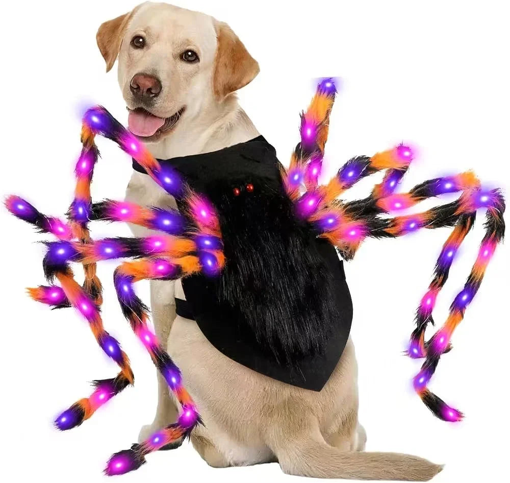 Glowing Spider Dog Halloween Costume, LED Light-Up Pet Cosplay Outfit for Halloween Parties - Bond Well Supplies