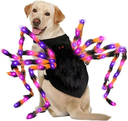 Glowing Spider Dog Halloween Costume, LED Light-Up Pet Cosplay Outfit for Halloween Parties - Bond Well Supplies