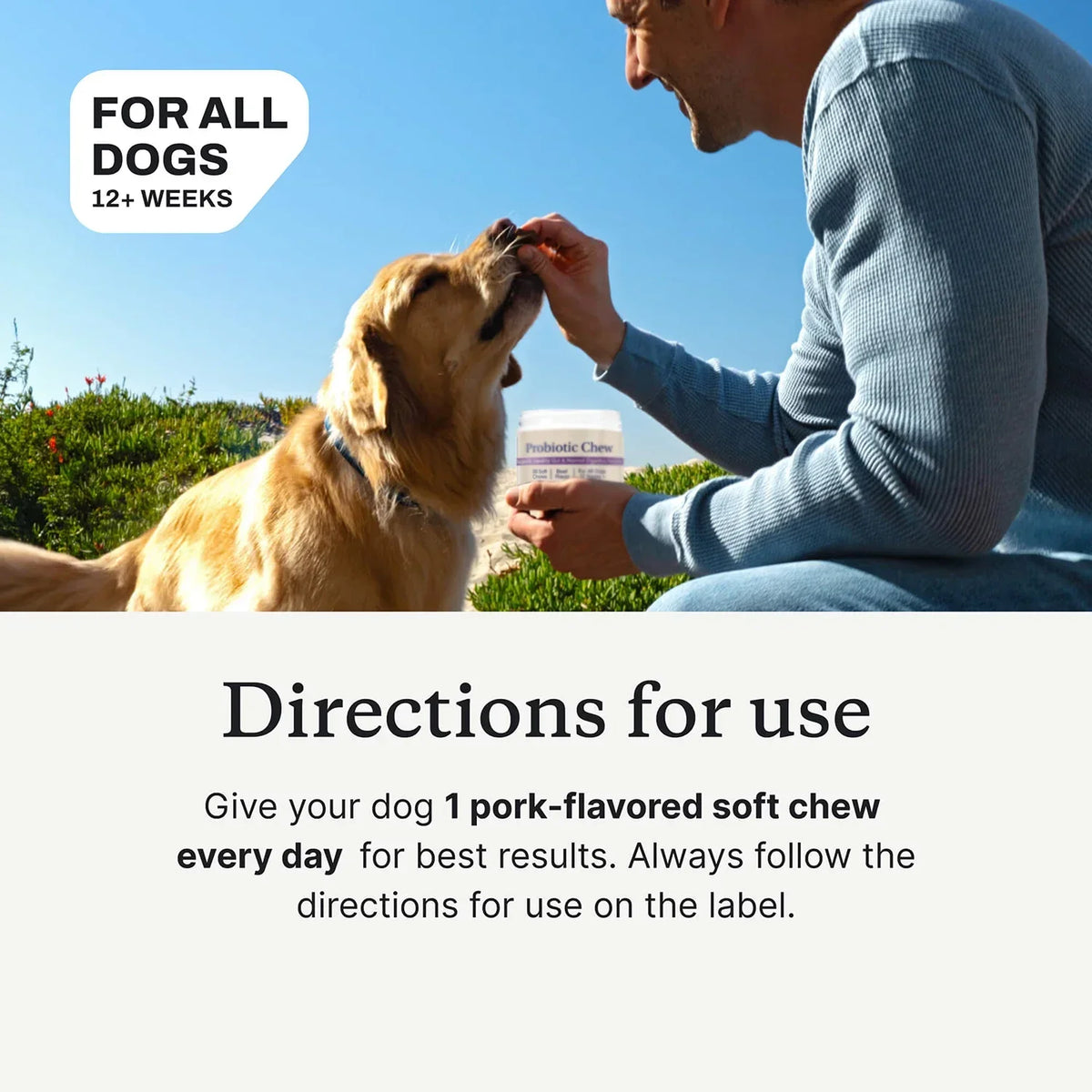Probiotic Chews for Dogs, Beef Flavor, Gut Health, Digestive & Seasonal Wellness Support - Bond Well Supplies