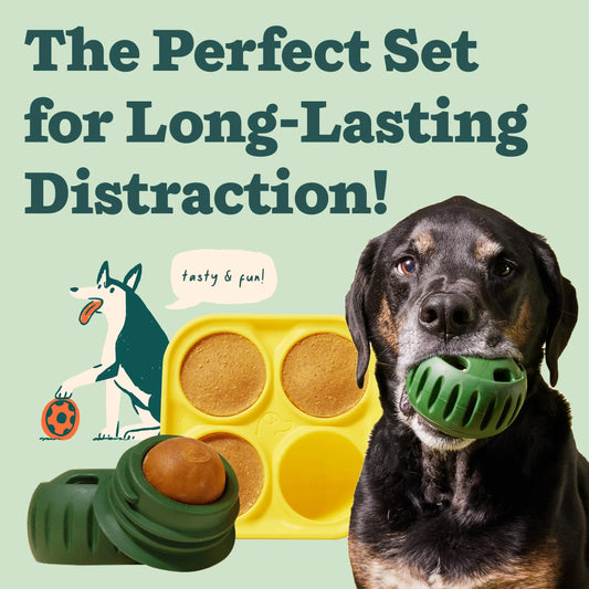 Durable Interactive Dog Chew Toy, Silicone Treat Dispenser & Mold for Large Pups - Bond Well Supplies