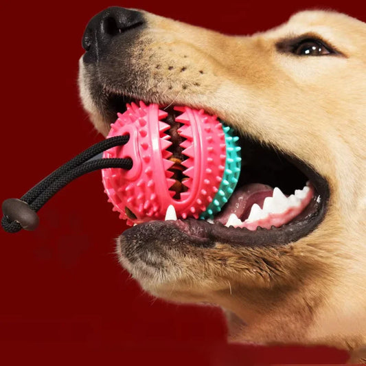 Bite-Resistant Rubber Dog Treat Ball, Molar Chew Toy with Bell Sound for Interactive Play - Bond Well Supplies