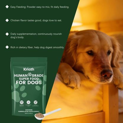 Dog Nutrition Powder, Digestive & Gut Health Support Supplement for Daily Wellness - Bond Well Supplies