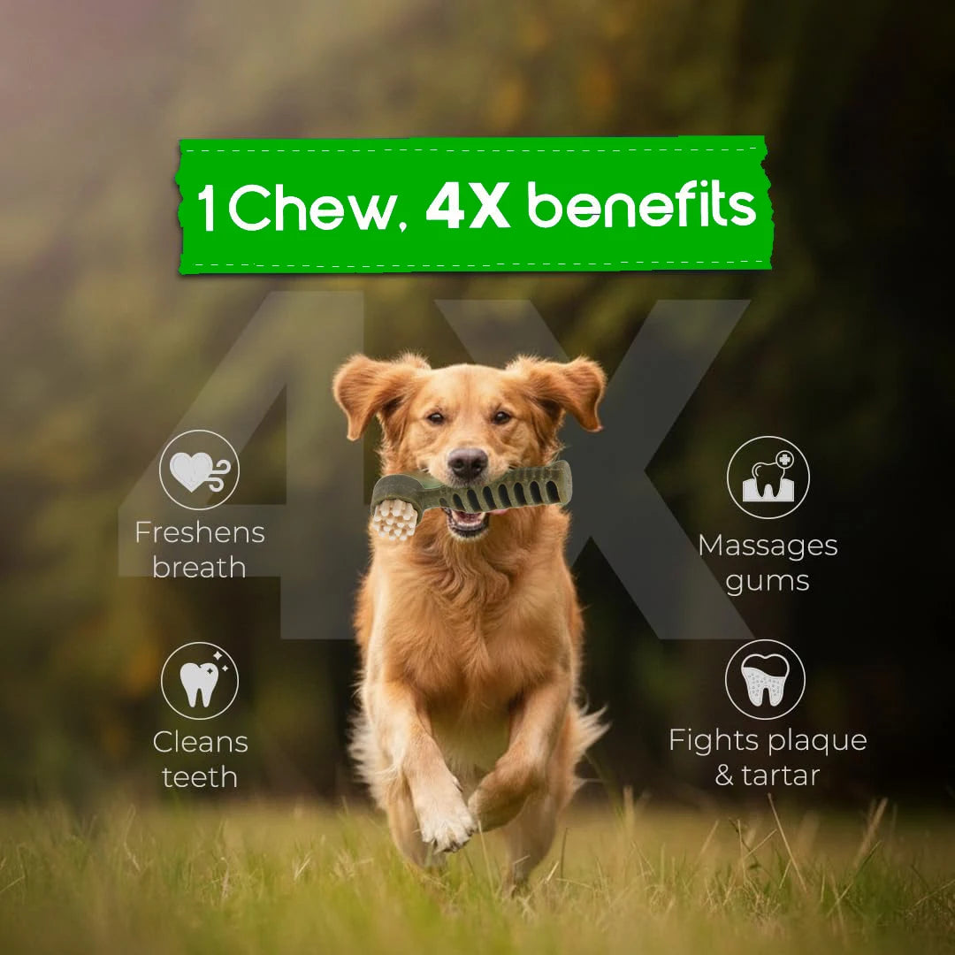 Dental Chews for Small Dogs, Mint & Tea Flavored Treats for Teeth Cleaning & Fresh Breath - Bond Well Supplies