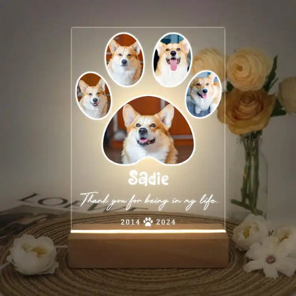 Custom Pet Photo Night Light, Personalized Acrylic Plaque for Dog and Cat Memorial Gifts