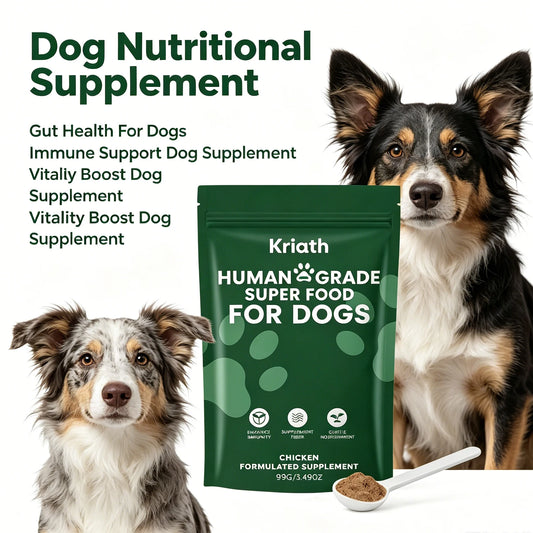 Dog Nutrition Powder, Digestive & Gut Health Support Supplement for Daily Wellness - Bond Well Supplies