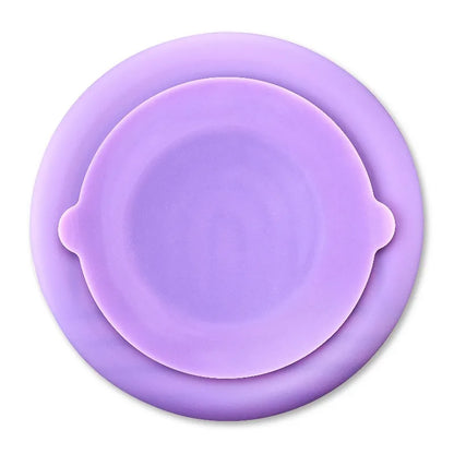 Slow Feeder Pet Bowl, Purple Rainbow Design for Dogs & Cats