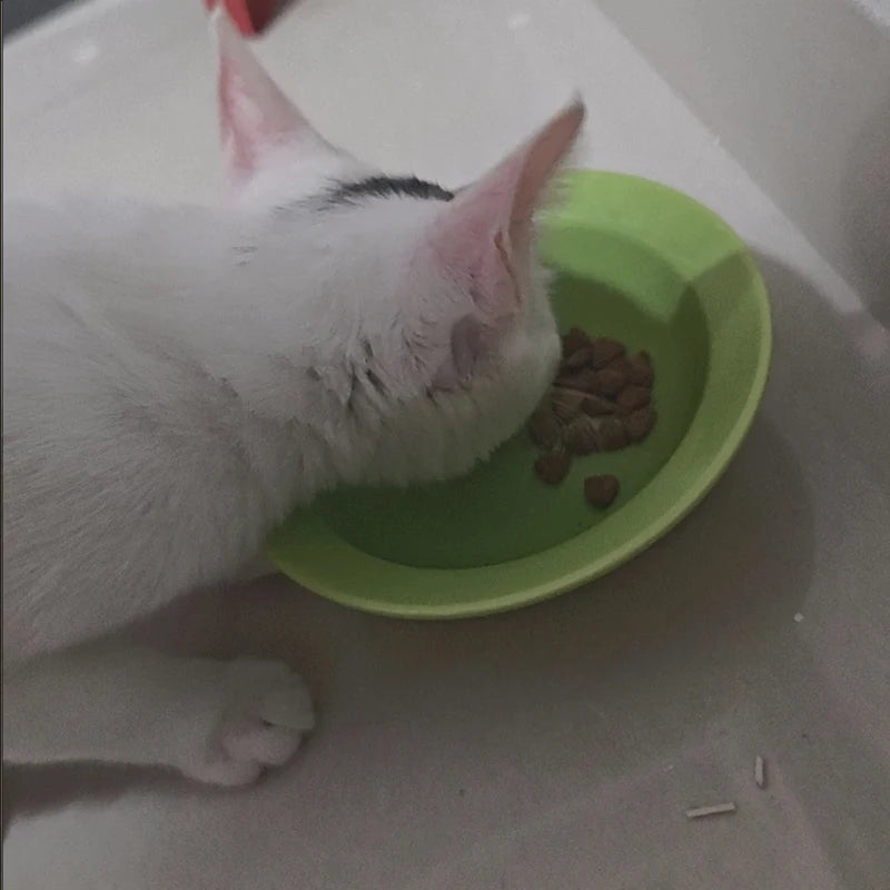 High-Quality Cat Food, Wild-Caught Salmon & Whitefish Chicken Recipe, 50g, Healthy Weight Support - Bond Well Supplies