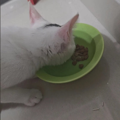High-Quality Cat Food, Wild-Caught Salmon & Whitefish Chicken Recipe, 50g, Healthy Weight Support - Bond Well Supplies