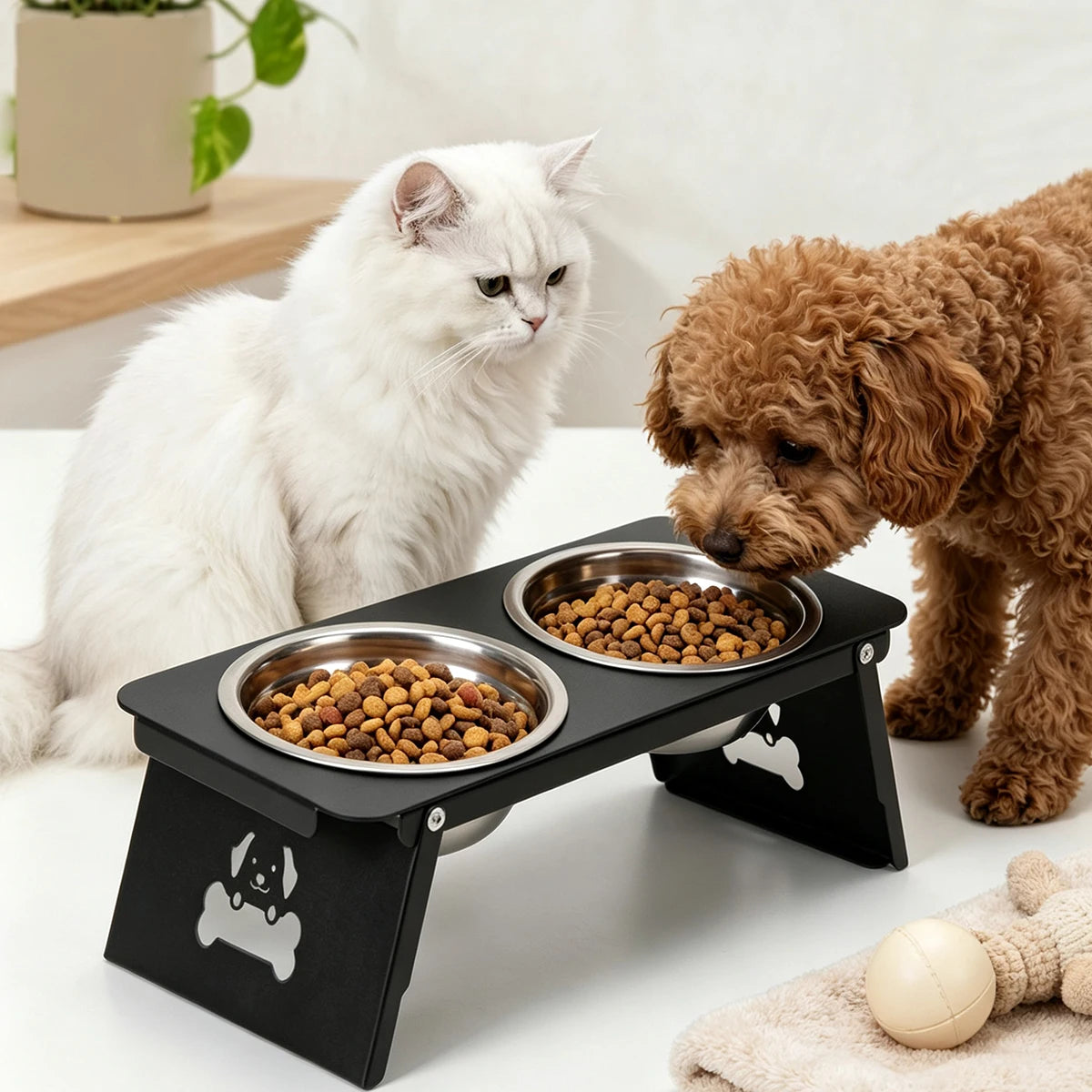 Elevated Cat & Dog Bowl, Stainless Steel Double Bowls with 15° Tilted Metal Bracket for Small Pets - Bond Well Supplies