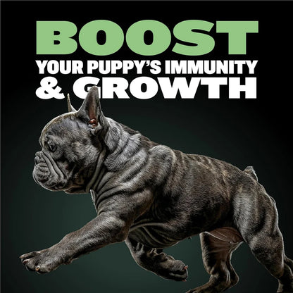 BULLY MAX High-Protein Puppy Food, Wholesome Growth Formula for Strong Muscle Development, 120g - Bond Well Supplies