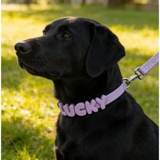 Personalized Silicone Letter Charms, Custom Dog Name Decor for Collars, Leashes, Bags & Accessories - Bond Well Supplies
