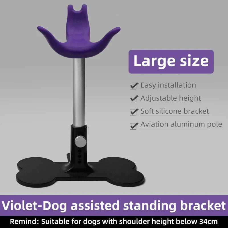 Adjustable Pet Support Stand, Groomer Dog Seat & Fixed Chair for Dog Care - Bond Well Supplies