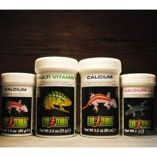 HAGEN Reptile Calcium & D3 Supplement Powder, Mineral Support for Tortoises, Lizards & Bearded Dragons - Bond Well Supplies