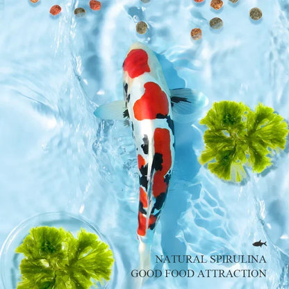 Granular Mixed Fish Food by YEE, Koi & Goldfish Feed for Home Aquariums & Ponds - Bond Well Supplies