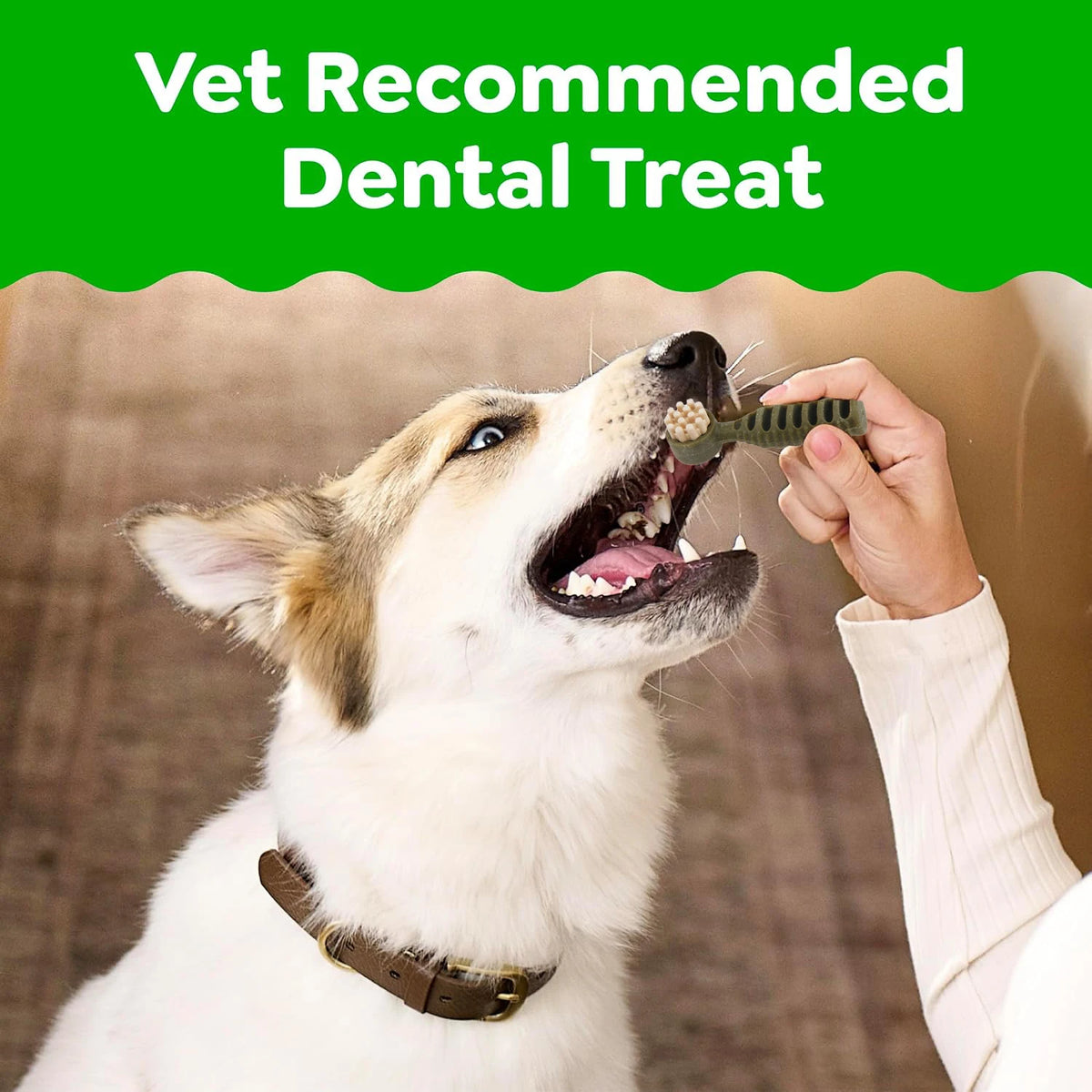 Dental Chews for Small Dogs, Mint & Tea Flavored Treats for Teeth Cleaning & Fresh Breath - Bond Well Supplies