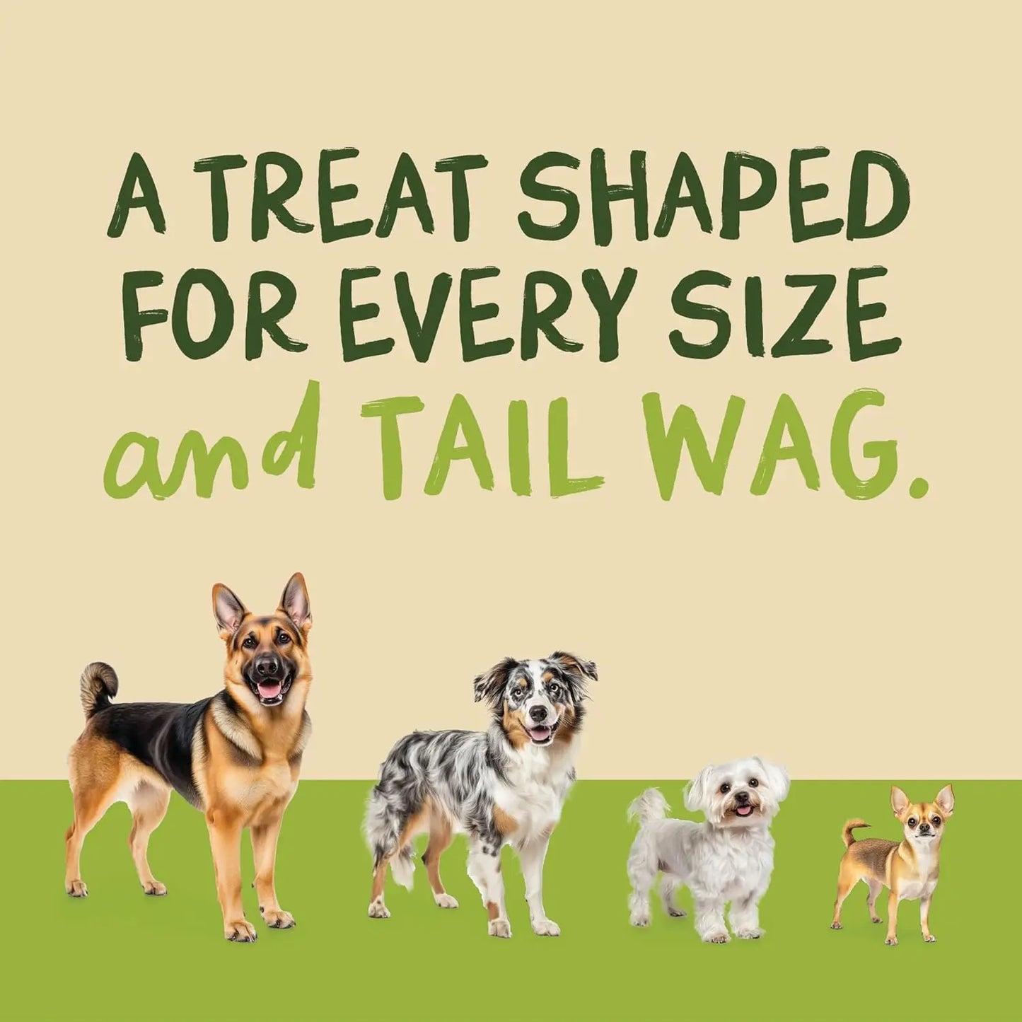 Premium Beef Jerky Treats for Dogs, Bite-Sized High-Protein Snacks and Meal Topper, Cat Friendly